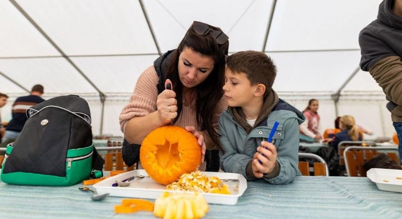 Nincs ötleted, hogy hova vidd a gyereket az őszi szünetben? Mi tudjuk!