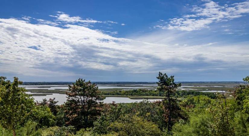 Nem csak a Balatonnál nagy a baj: száraz lábbal sétálhatsz a Velencei-tóban