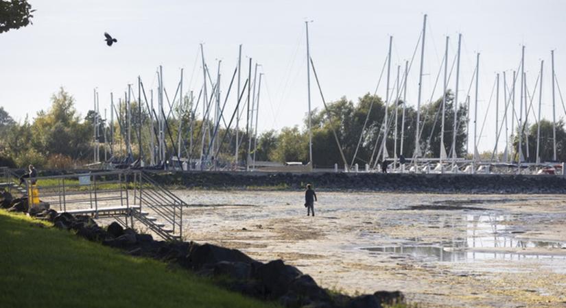 Sokkoló képek a Balatonról – tényleg ki fog száradni? Itt a szakértők válasza