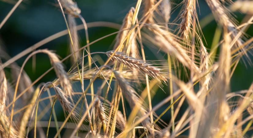 Magyarország kiáll a Közös Agrárpolitika megőrzése mellett és védi a gazdák érdekeit