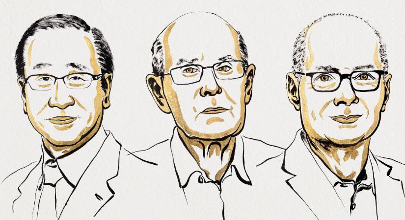 A fémeket és szerves anyagokat tartalmazó komplexek kifejlesztői kapták a kémiai Nobel-díjat