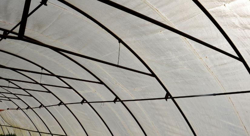 Túlélés 60 fokban – így küzdenek a klímaváltozás ellen a magyar közösségi gazdák