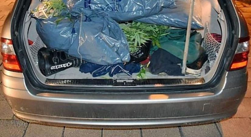 14 kg füvet találtak egy részeg, betépett, jogsi nélküli osztrák férfi autójában Kapuváron, de nem ezek miatt bukott le