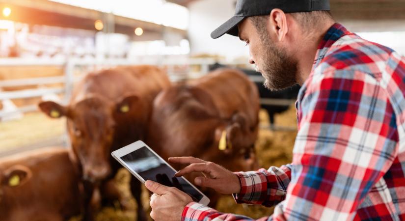 Sokkoló állatbetegségek: védekezési tippek az Agrárszektor Konferencián