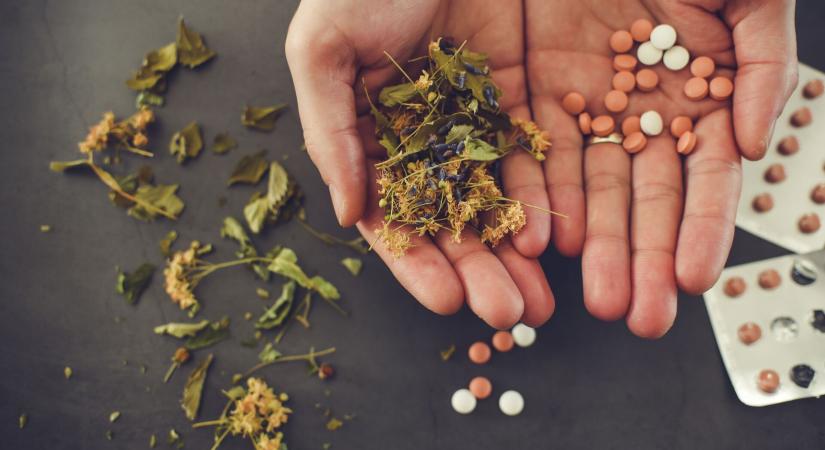 Felfázás: Mikor segítenek a gyógynövények, és mikor kell antibiotikum?
