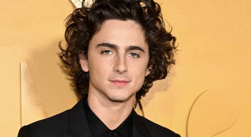 Timothée Chalamet pár millisre nyírta a haját: így néz ki kócos hajkoronája nélkül