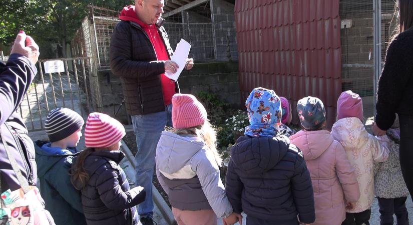Látogatás a menhelyen - Testközelben tanulnak a gyerekek az állatvédelemről