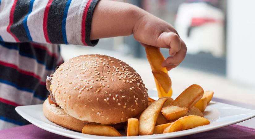 Ennyi volt, leáldozott a vegetáriánus hamburgereknek - döntött Brüsszel, nincs olyan, hogy húsmentes hús