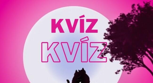 Ma sem mehet le úgy a nap, hogy ne kínáljunk valami érdekeset. Mondjuk ezt a kvízt