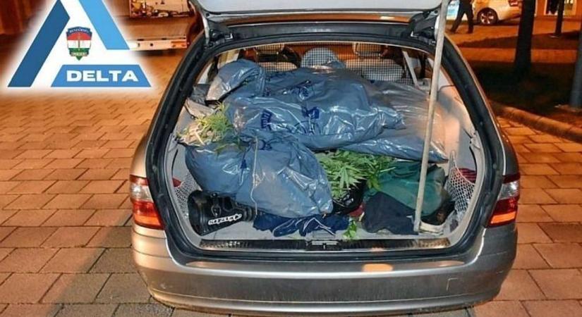 A kocsit telerakta kábítószerrel, az osztrák sofőr bódult és ittas volt, benzinkutasok hívták a rendőröket