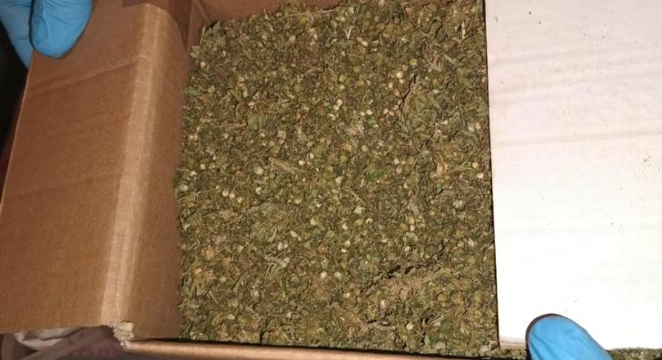 Sajátságos ödipuszi kapcsolat: anya és fia együtt termesztette a cannabist  videó