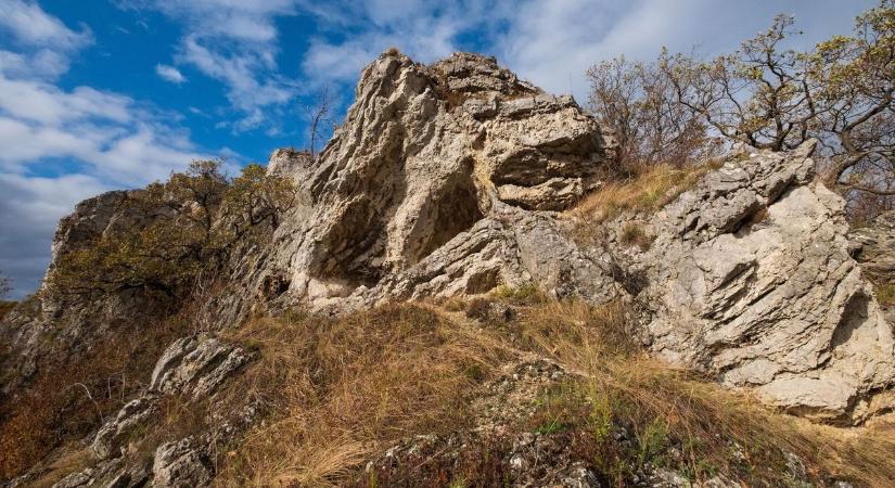 Miskolc is konzultációs helyszíne lesz az ország legnagyobb fotópályázatának