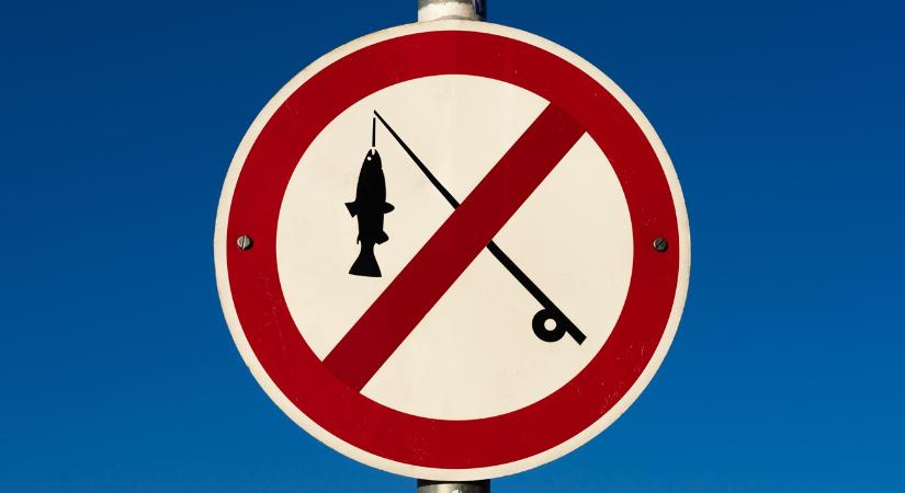 Beszüntették a horgászatot az extrém alacsony vízállás miatt ezen a tavon