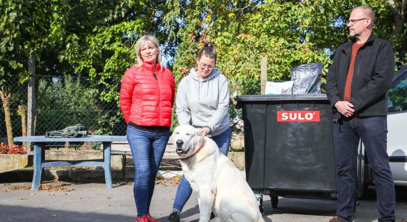 Egy konténernyi állateledelt kaptak ajándékba - fotókkal
