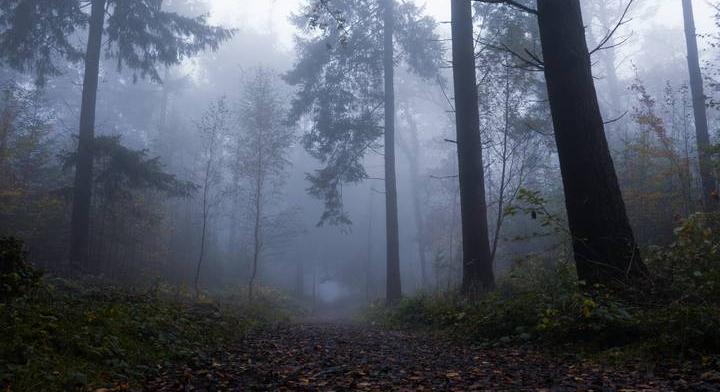 Ezek a világ legijesztőbb parkjai, a harmadik különösen hátborzongató