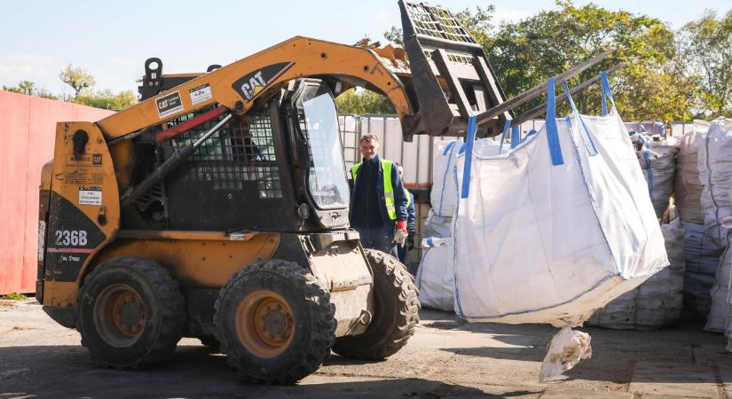 Villámkárból előny: száz köbméterrel több lesz a tűzifa - képek, videó