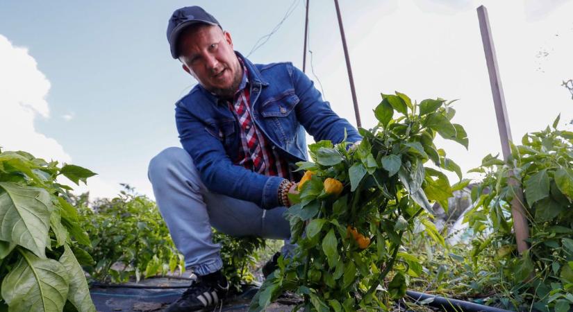 Üvegbe zárt erő: kivételes csilipaprika termékekkel sokkol a fiatal zalai gazda (galéria)