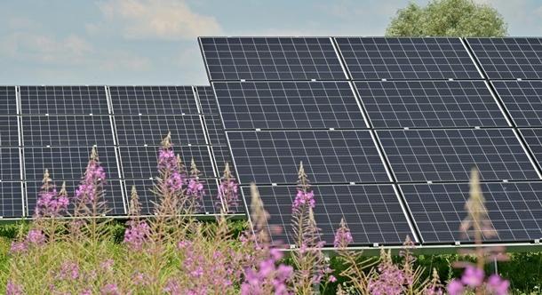 A megújuló energia globálisan először előzte meg a szenet a termelésben