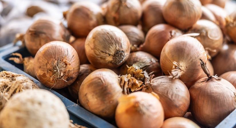 Vegyi fegyverekre emlékeztető gránátok bújtak meg a hagymaszállítmányban