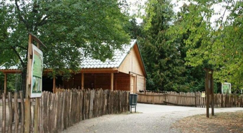 Egy szempillantás alatt nyoma veszett – furcsa dolog történt a jászberényi állatkertben