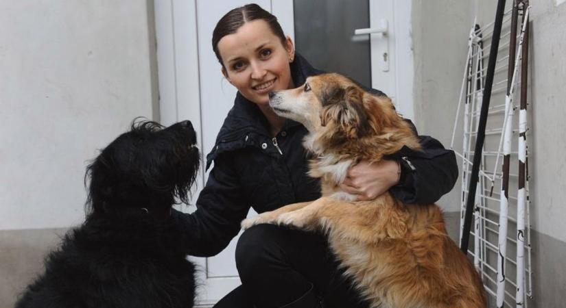 Figyelem kutyatartók! Minden ebet újra be kell jelenteni