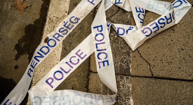 Sokkolta Szolnokot a kutyafuttatós gyilkosság, féltékenységből ölte meg barátját a férfi