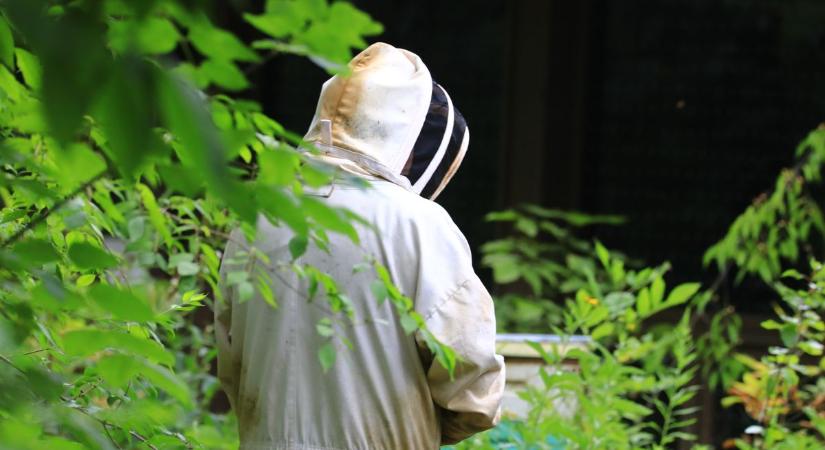 Megjelent a közelünkben a kórokozó! 3 km sugarú puffer zónát alakítottak ki!