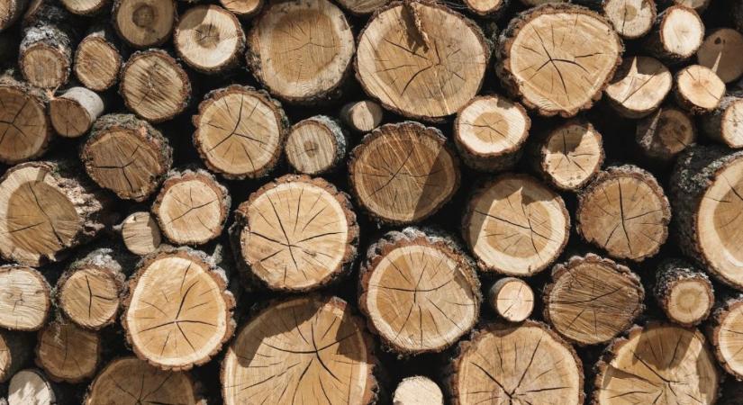 Múlt és jövő találkozása: három évtizedes lett a FAEKA
