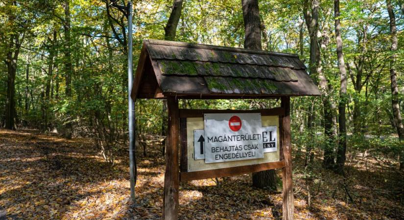 Kihallgatták a nadapi polgármestert, miután kiállt az ellen, hogy Pintér veje lekerítette az erdőt