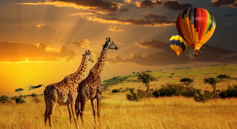 Bakancslistáról Afrikába – Közvetlen járatot indít Kenyába az IBUSZ decembertől márciusig