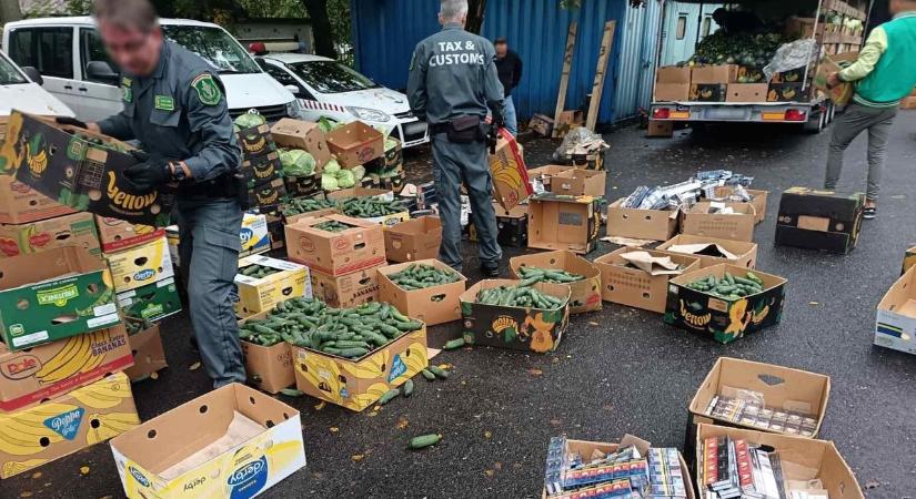 Csempészcigi az uborka, káposzta és a dinnye között - az M1-esen buktak le - fotók, videó