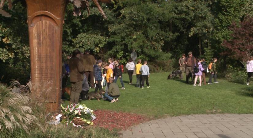 Minden út a Nagyerdőbe vezet – így telt a természet ünnepe Debrecenben