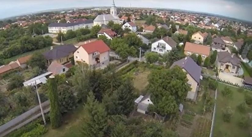 Boxerek támadtak Felsőzsolcán: nő és szomszédja is megsérült