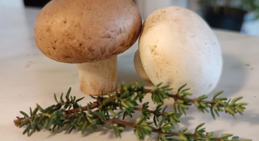 Ősz a konyhában: Kakukkfüves gombaleves