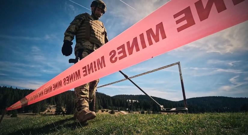 Veszélyes „örökség”: gránátok került elő Tatabánya közelében