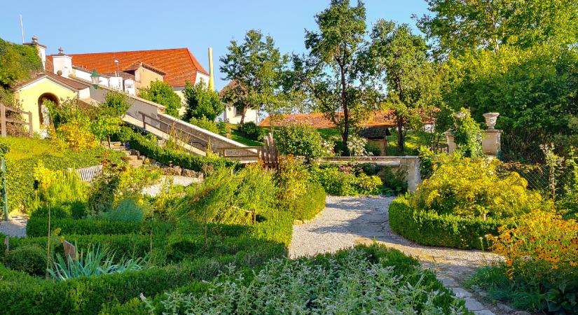 Ahol megszólaltak a fák
