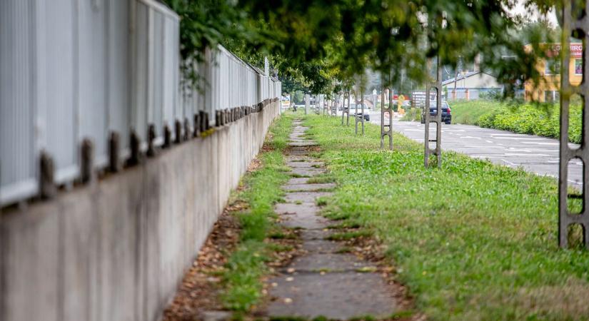 Magyar Péter hazudott a miskolci türelmi zónáról - képek, videó