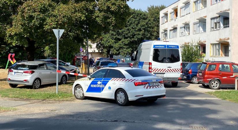 Ennyit kapott a kukásautó vezetője, aki elütött egy nőt Zalában