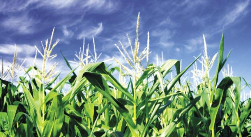 A Nestlé kilép a Dairy Methane Action Alliance-ből – saját pályán folytatja a metáncsökkentést