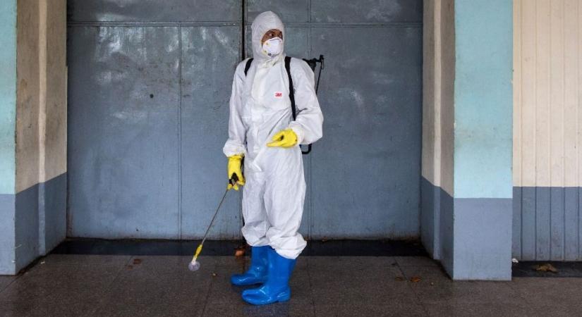 Pusztító járvány jelent meg a magyar határnál: azonnal intézkedtek a keleti szomszédunkban