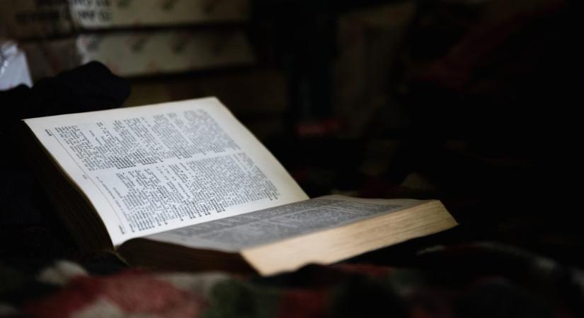 Tóth Marcsi a Margó-díj idei nyertese