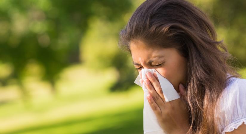 Vége a parlagfű inváziójának, de egy másik allergén még virágzik