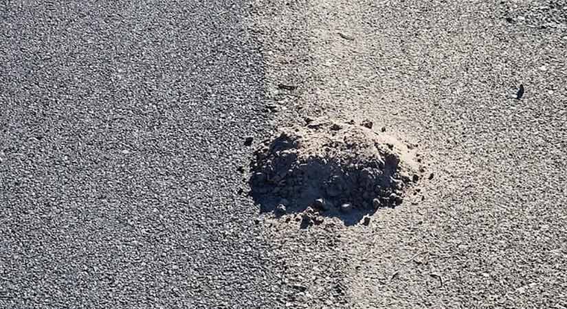 Kibújt a vakond a felújított kerékpárúton Szeged mellett