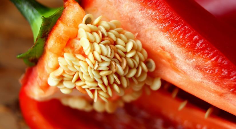 Tényleg tele van vitaminnal a paprika magja? Egyáltalán meg lehet enni?