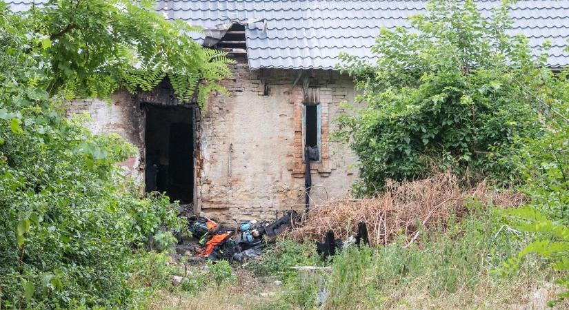 Ennek nem kéne így lennie: Halálos tűz pusztított, többen életüket vesztették (fotók)