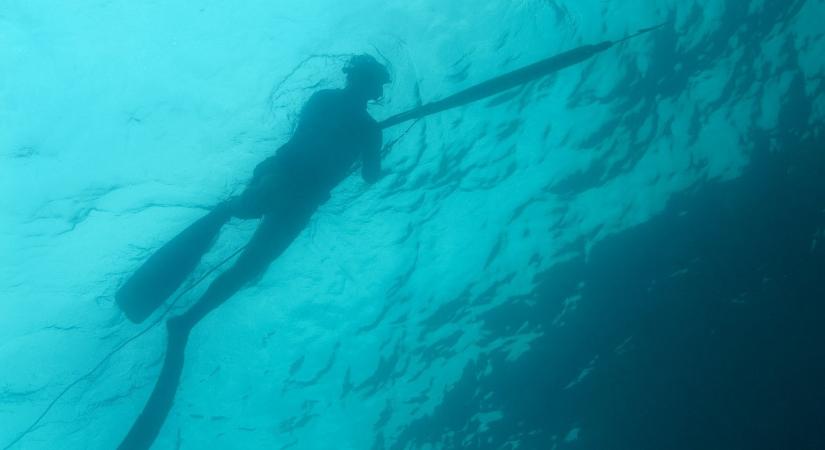 Börtönbe megy a Mosoni-Duna Aquamanje