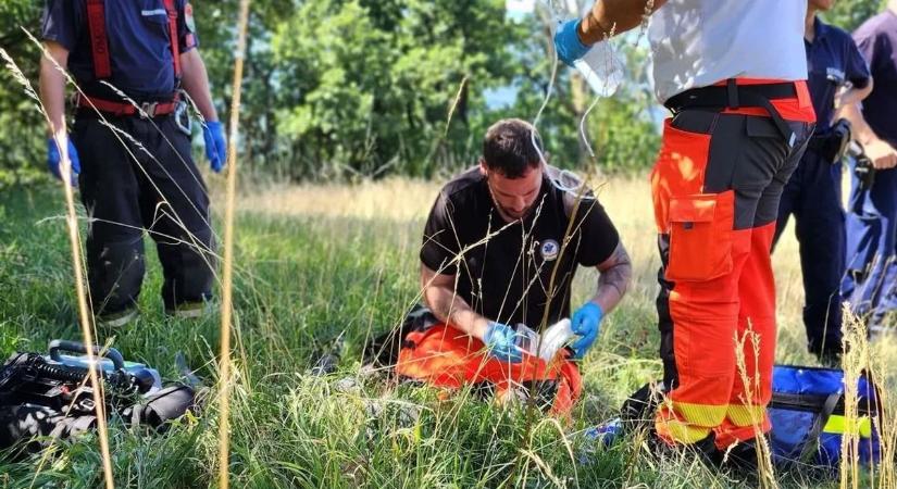 Újabb tragédia fenyeget a Pilisben – napok óta keresik az eltűnt tanárt