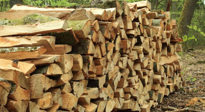 Már igényelhető a szociális tűzifa támogatás