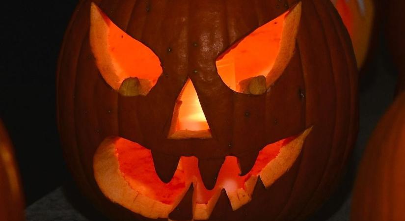Készülődhetsz a Halloweenre, női kistermelőktől vásárolhatsz, itt lesz Varga Feri és Varró Dani– Íme a tippjeink hétvégére!