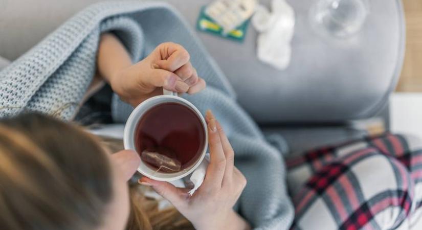 Ezek a gyógynövények a legmakacsabb megfázást is elűzik - 6 tea, ami segít a fájó torkon
